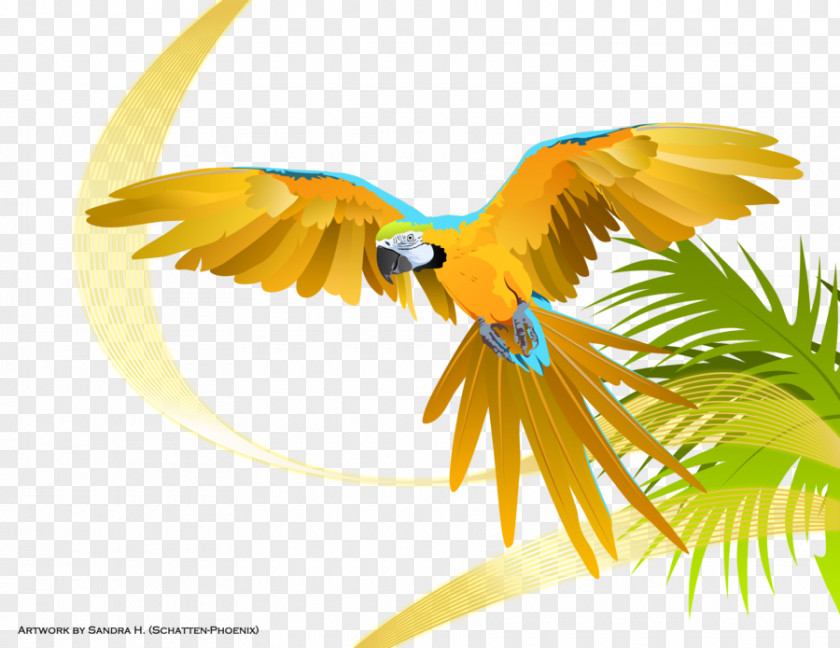 Exotic Parrot Macaw DeviantArt Bird PNG