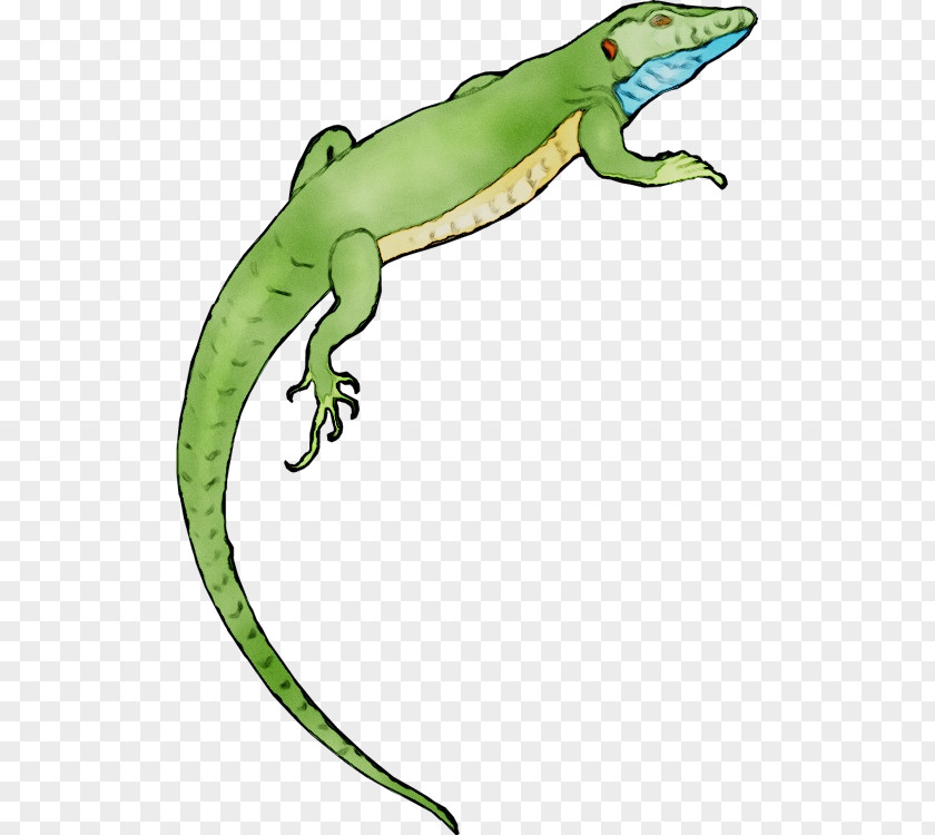 Gecko Clip Art Frog Common Iguanas Terrestrial Animal PNG