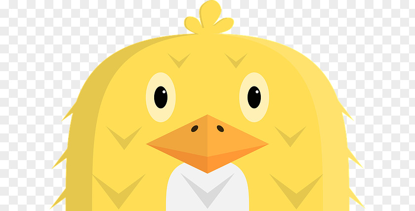Cartoon Chick Chicken Duck Clip Art PNG
