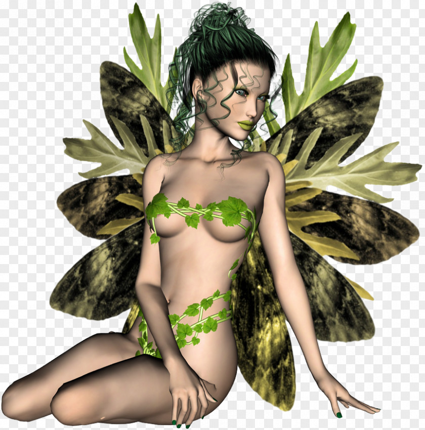 Fairy Tree Insect PNG