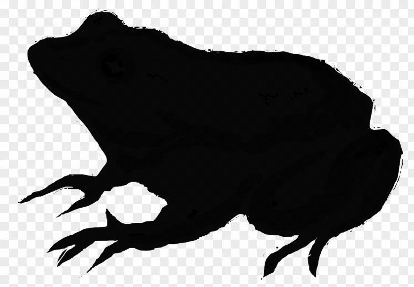 Fauna Silhouette Carnivores Beak Black M PNG