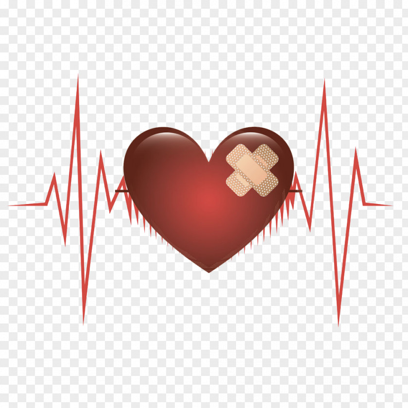 Heart Heartbeat Euclidean Vector Computer File PNG