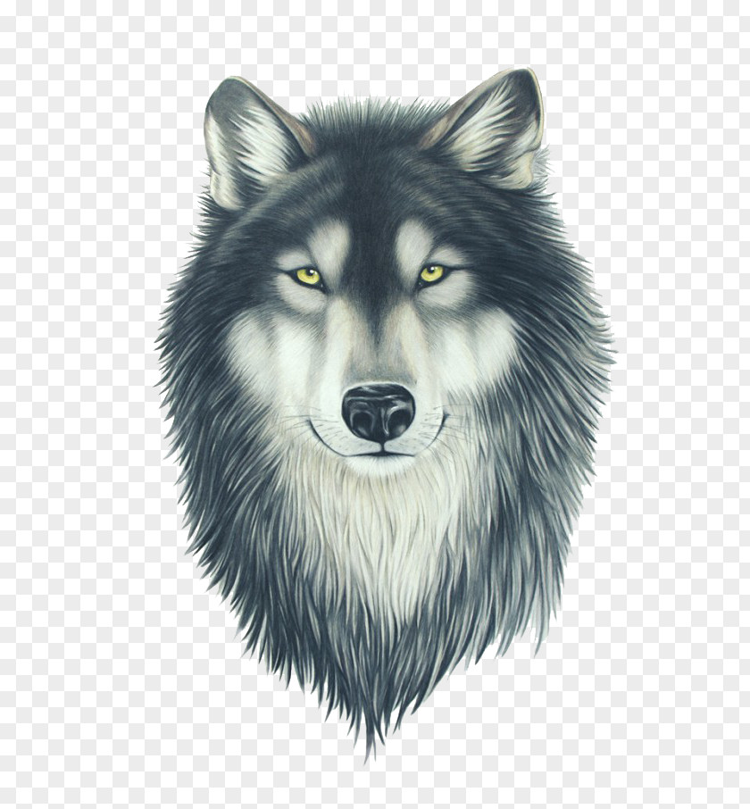 Painting Drawing Pit Bull Wolfdog PNG