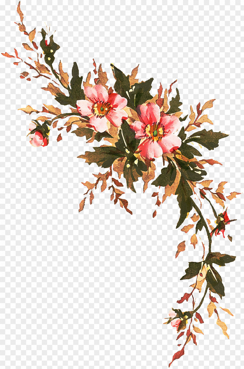 Petal Blossom Flower Plant Branch Flowering Twig PNG