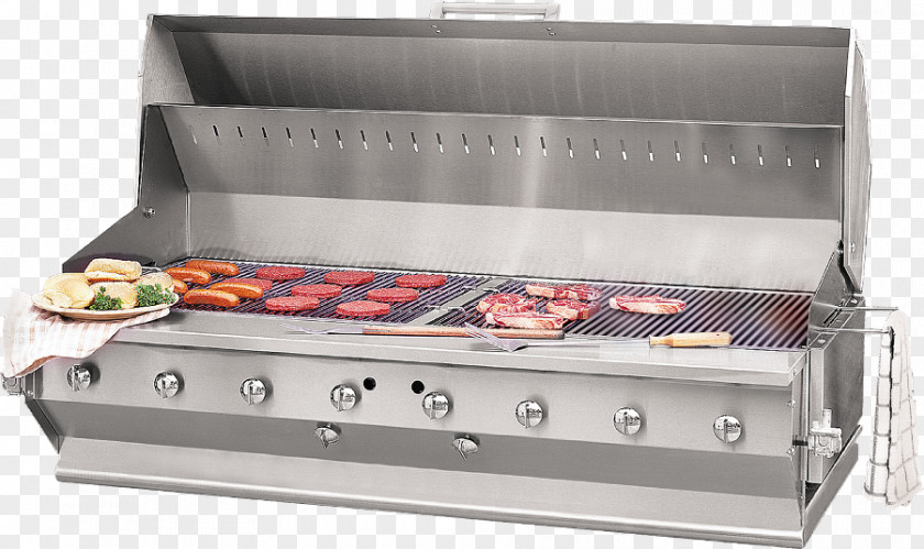 Plus Size Model Barbecue Charbroiler Grilling Natural Gas PNG