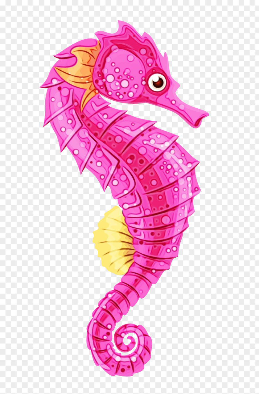 Animal Figure Magenta Fish Cartoon PNG