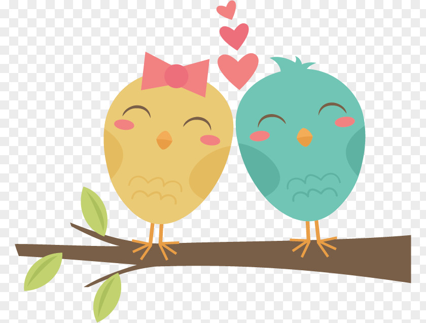 Bird Cartoon Lovebird Clip Art PNG