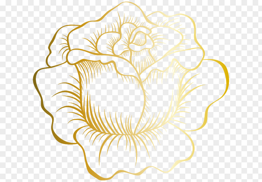 Drawing Rose Petal Plant Clip Art Vector Graphics Image PNG