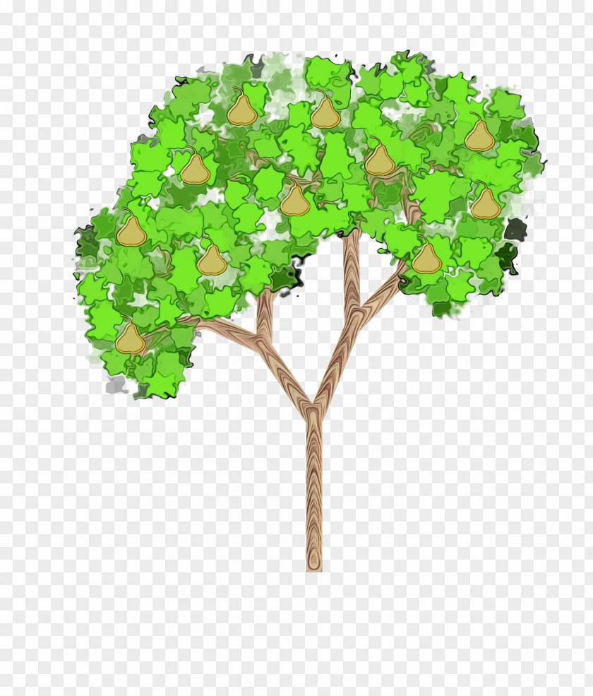 Grass Branch Plant Tree Scale Model Flower Leaf PNG