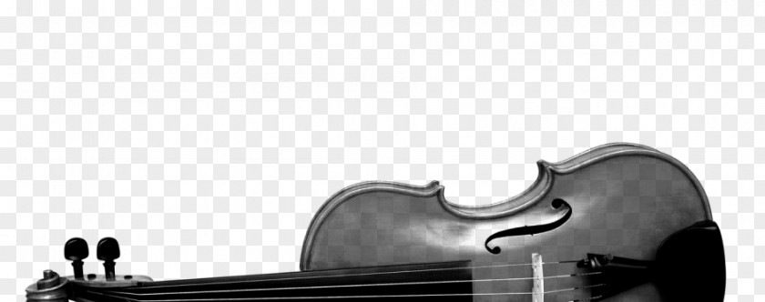 Instrumentos Musicales Violin Viola Cello Musical Instruments PNG