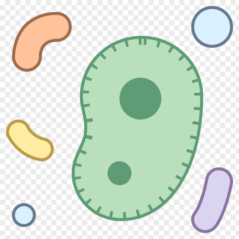 Microorganism Bacteria Icons8 PNG