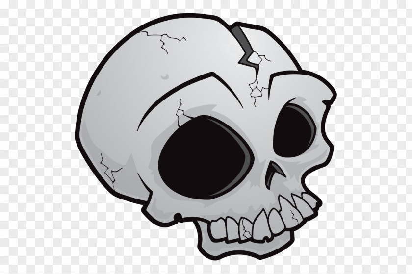 Skull Drawing Image Vector Graphics PNG