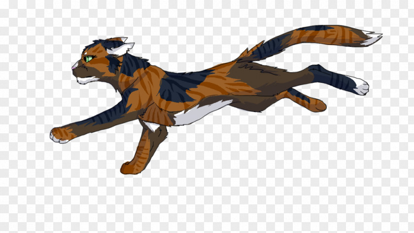 Tawnypelt Tigerstar Hawkfrost Warriors Canidae PNG