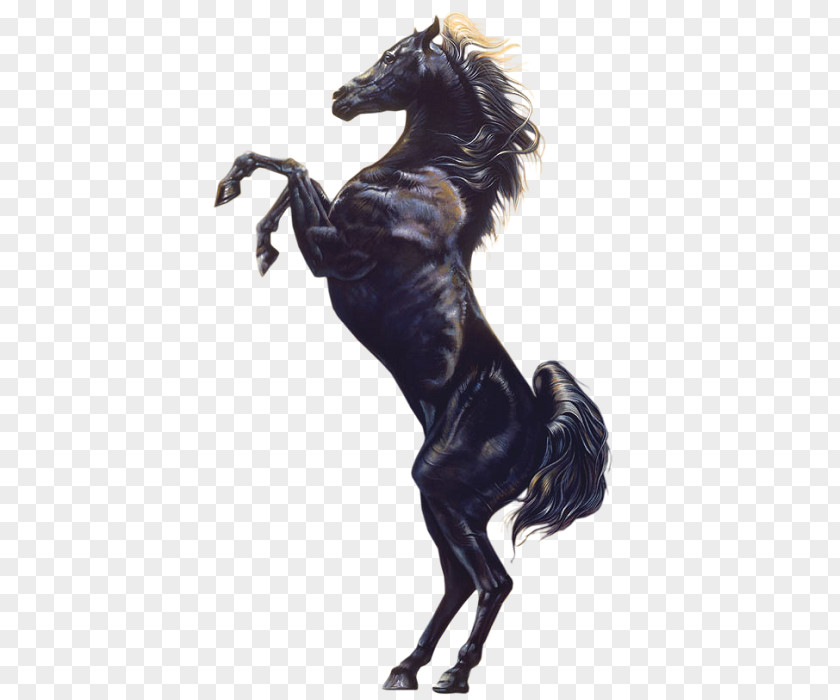 Youtube Stallion Arabian Horse YouTube Black Film PNG