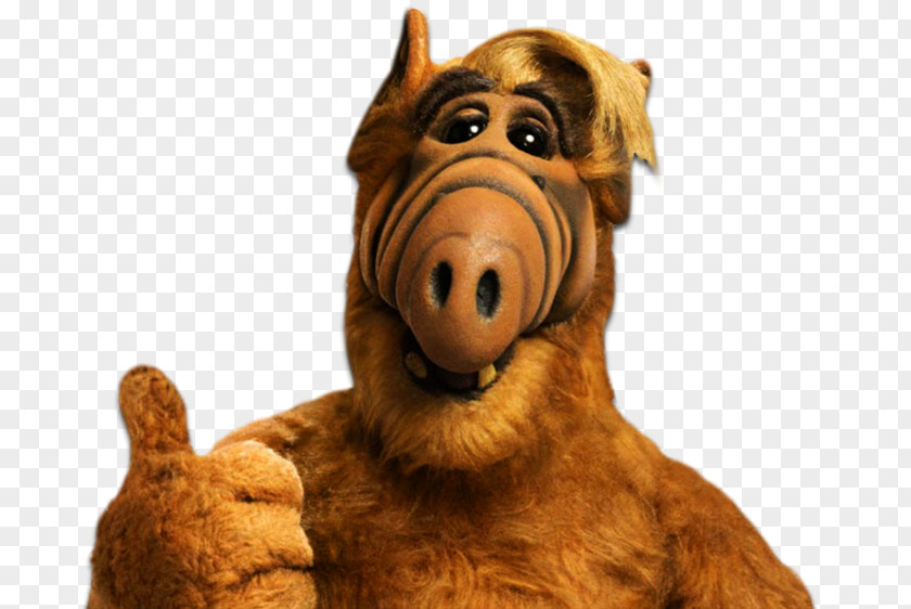 ALF Television Show Melmac Extraterrestrial Life PNG show life, frank always sunny clipart PNG