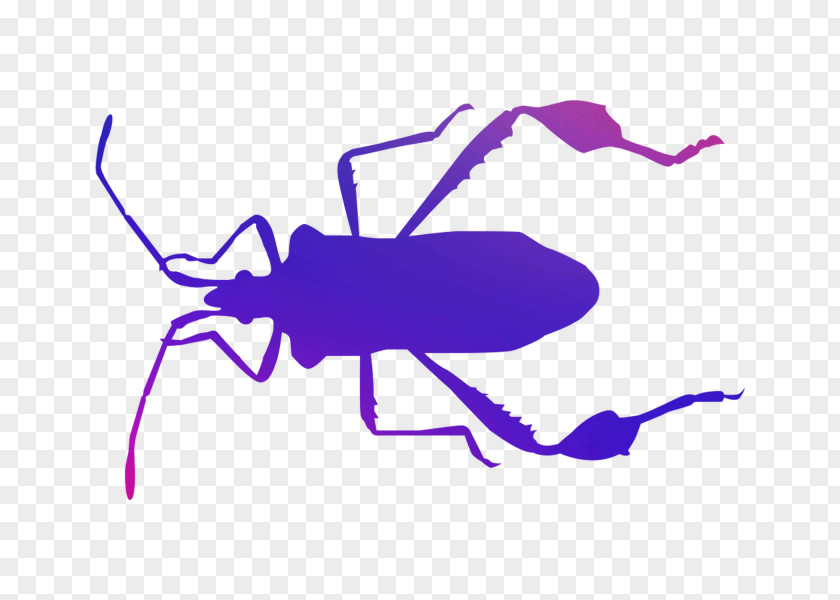 Clip Art Insect Cartoon Purple Line PNG