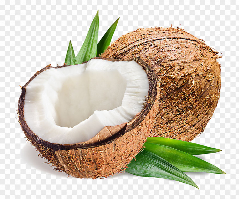 Coconut Milk Wicker Palm Tree PNG