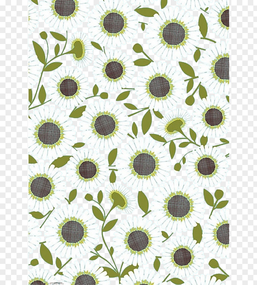 Green Flower Background Common Sunflower Wallpaper PNG
