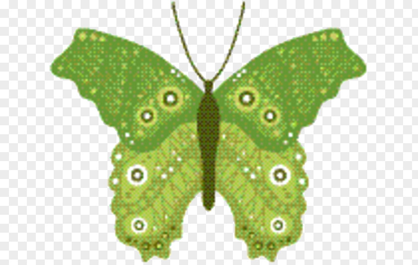 Luna Moth Papilio Butterfly Cartoon PNG