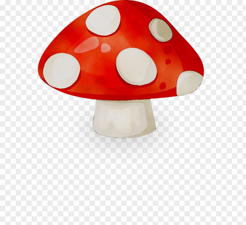 Oyster Mushroom Clip Art Image PNG