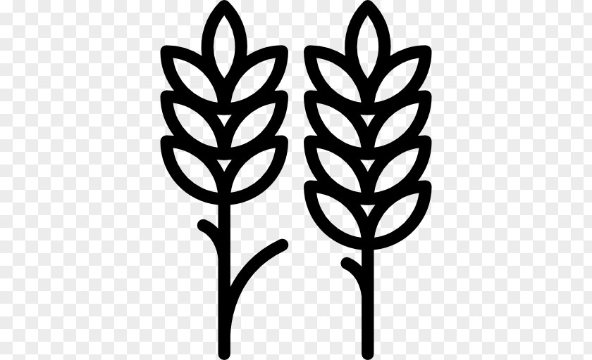 Symmetrical Vector Wheat PNG