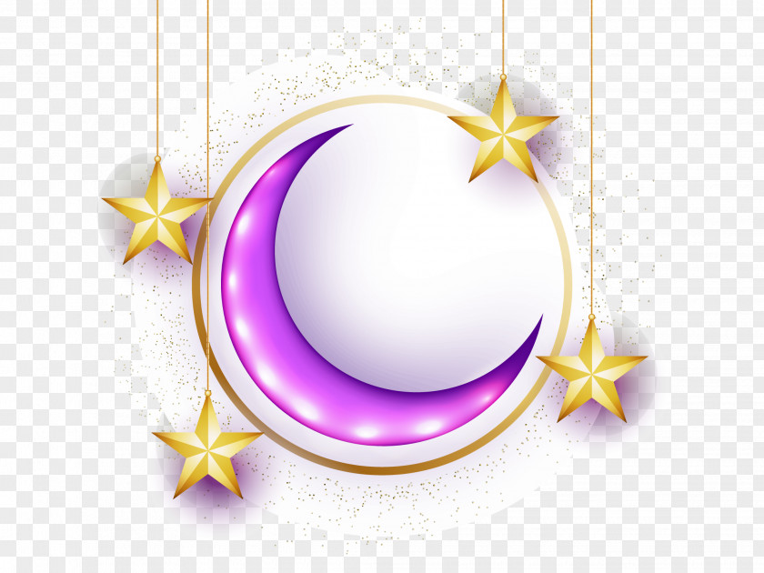 Vector Decorate The Moon PNG