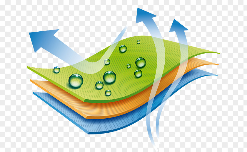 Water Guard Waterproofing Canvas Shoe Gore-Tex Image PNG