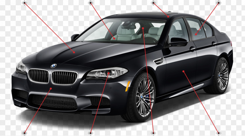 Animal Brush BMW X3 Car 3 Series X6 PNG