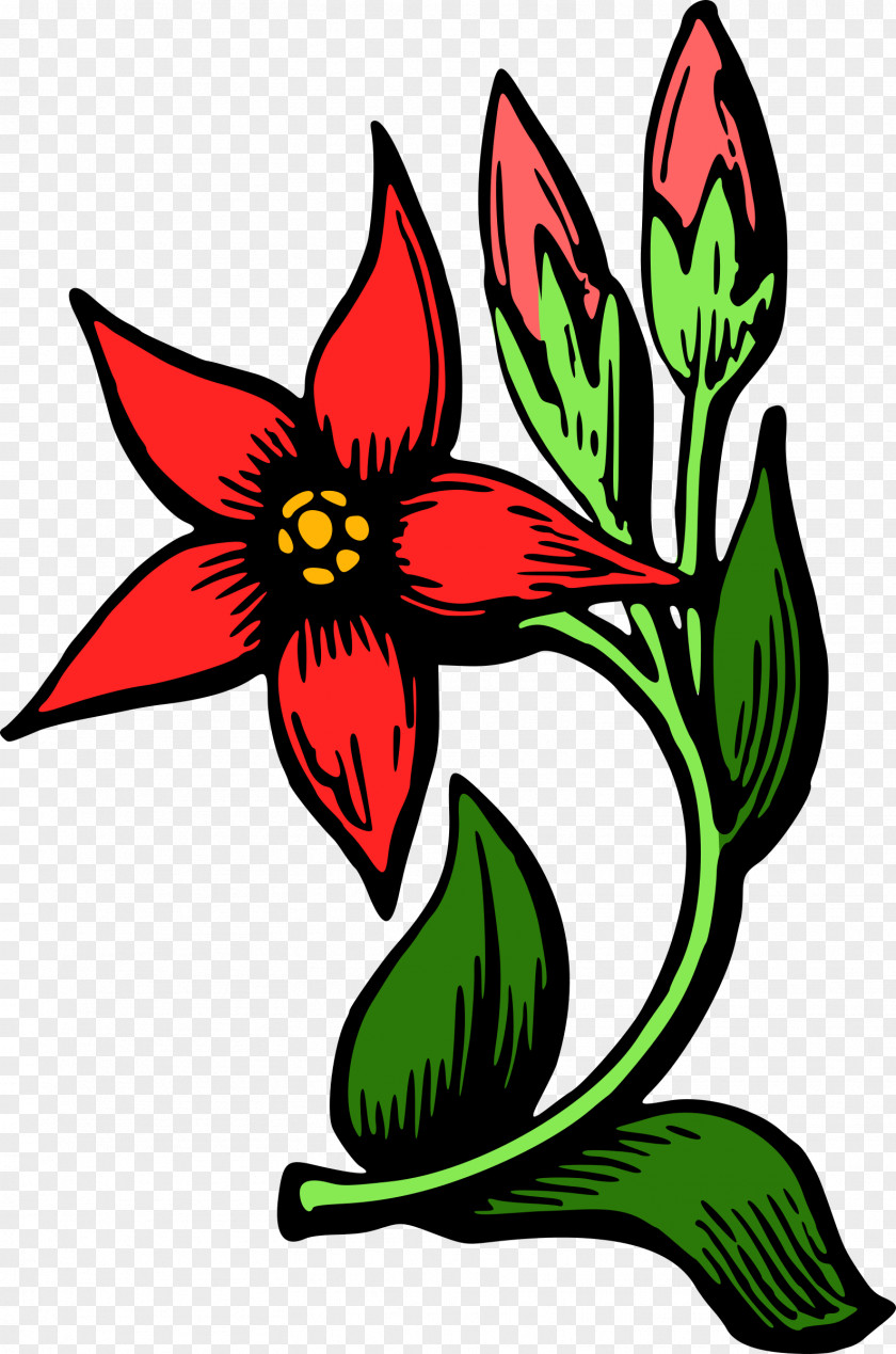 Century Plant Clip Art Tulip Floral Ornament CD-ROM And Book Flower Color PNG
