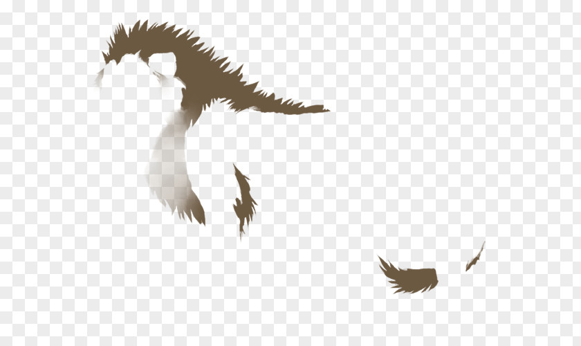 Eagle Bald Beak Feather Wildlife PNG