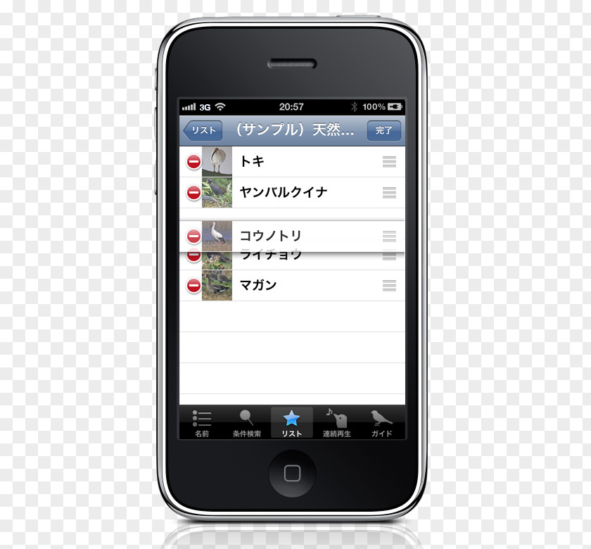 JapBirds Feature Phone Smartphone IPhone Business PNG