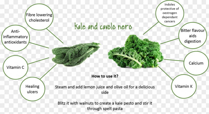 Kale Recipes Vegetable Cabbage Produce Lacinato Beetroot PNG