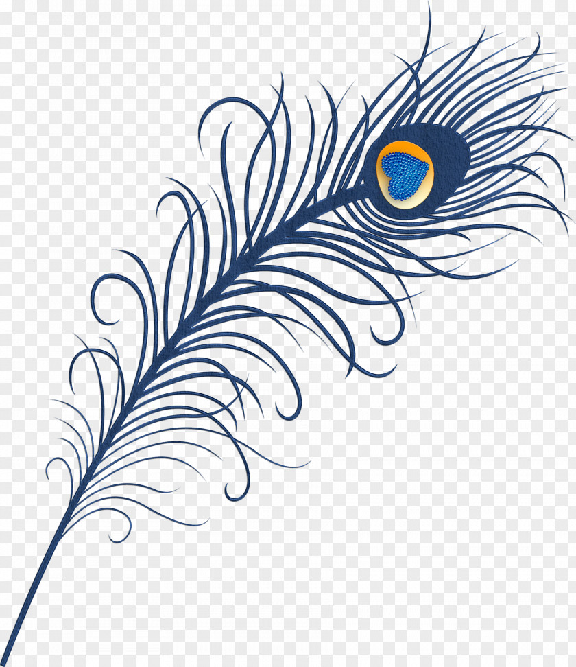 Love Peacock Feathers Feather Peafowl Bird Clip Art PNG