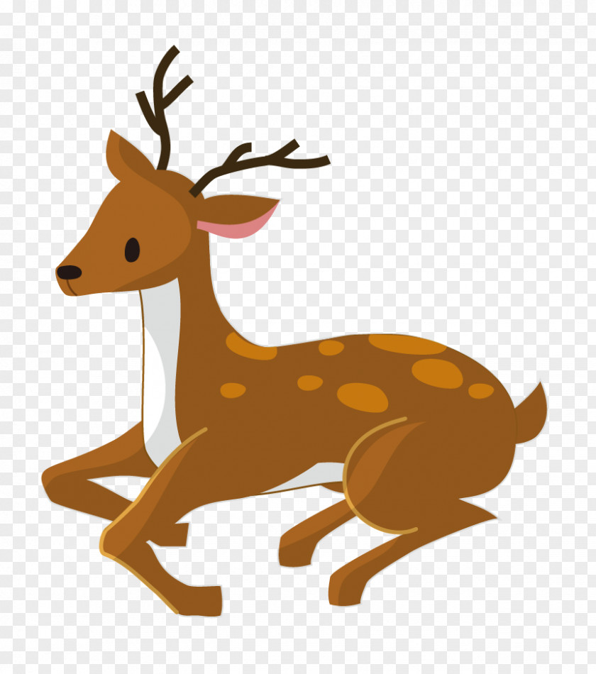 Reindeer Antler Wildlife Tail Clip Art PNG
