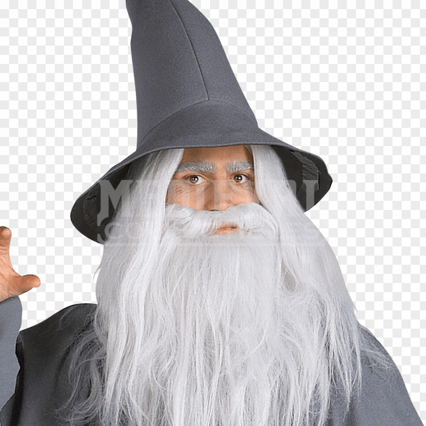 The Hobbit Gandalf Lord Of Rings: Fellowship Ring Frodo Baggins Costume PNG