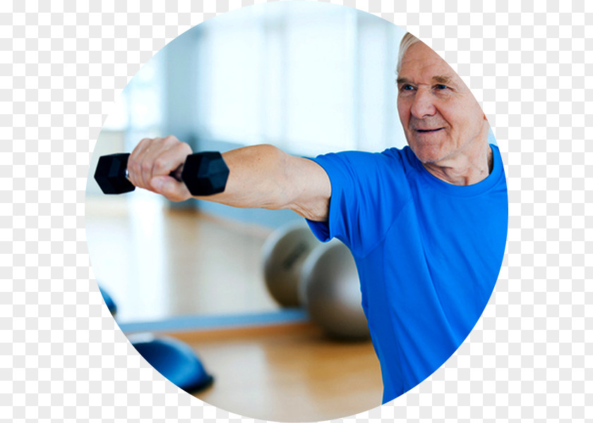 Weight Training Physical Therapy Androgen Replacement NuVista Living In Tampa PNG
