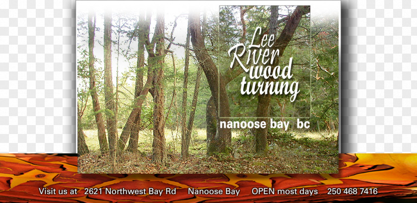 Wood Marijuana Grow Box Woodturning Tree River PNG