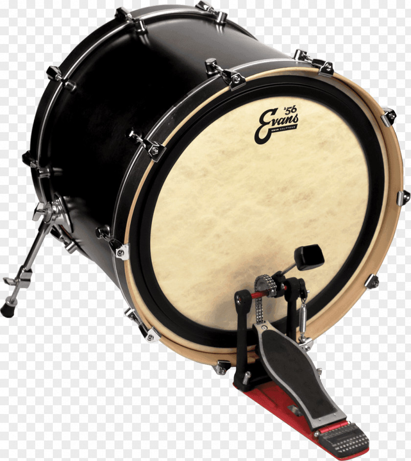 Drum Drumhead Bass Drums Remo PNG