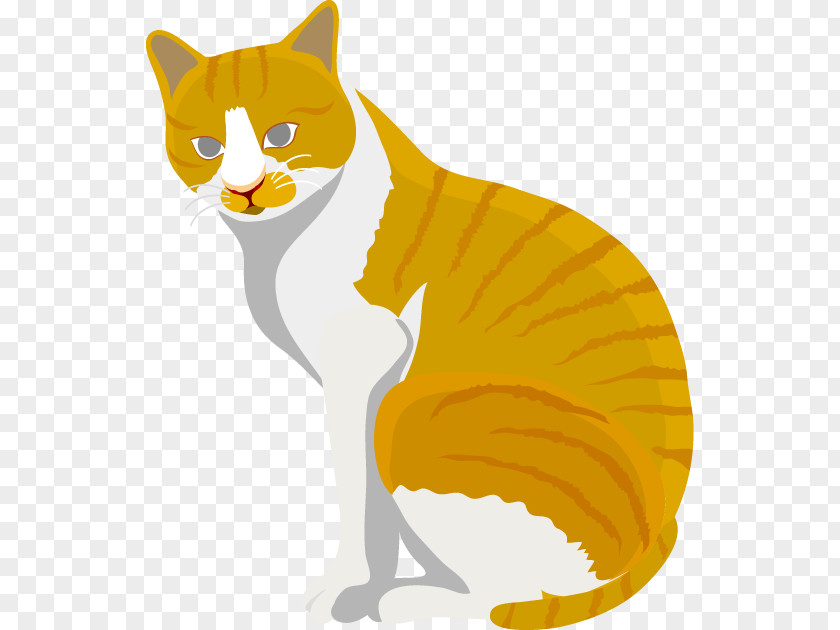 Kitten Whiskers Cat Clip Art PNG