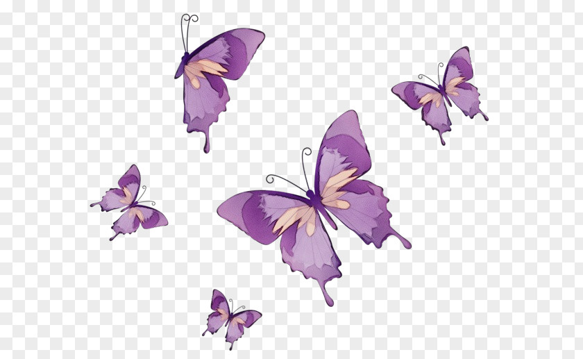 Lycaenid Bellflower Family Purple Watercolor Flower PNG