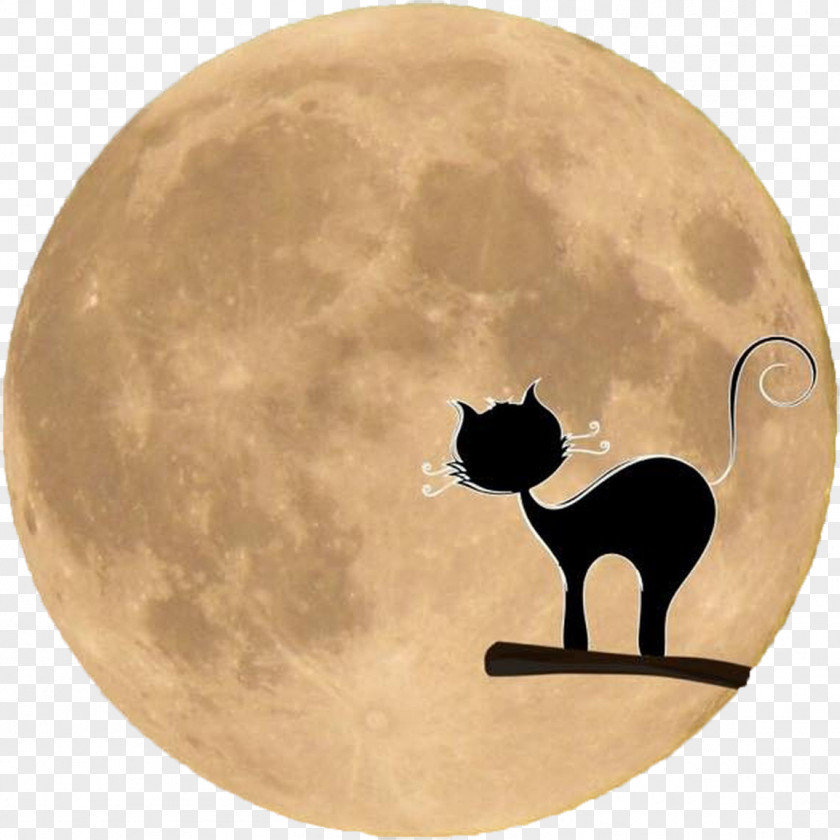 Moon Black Cat Dog Clip Art PNG