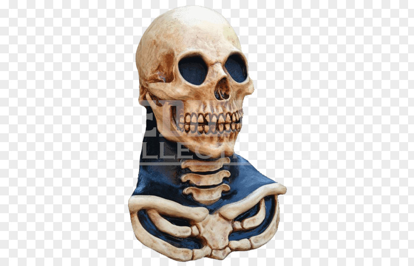 Skull Halloween Costume Human Skeleton Mask PNG