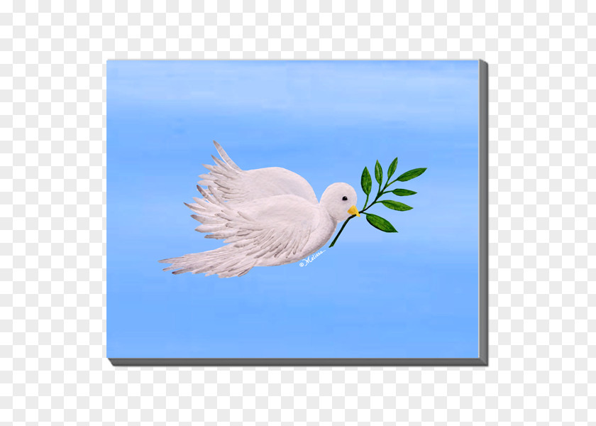 Canvas Material Gulls Art Bird Cygnini PNG