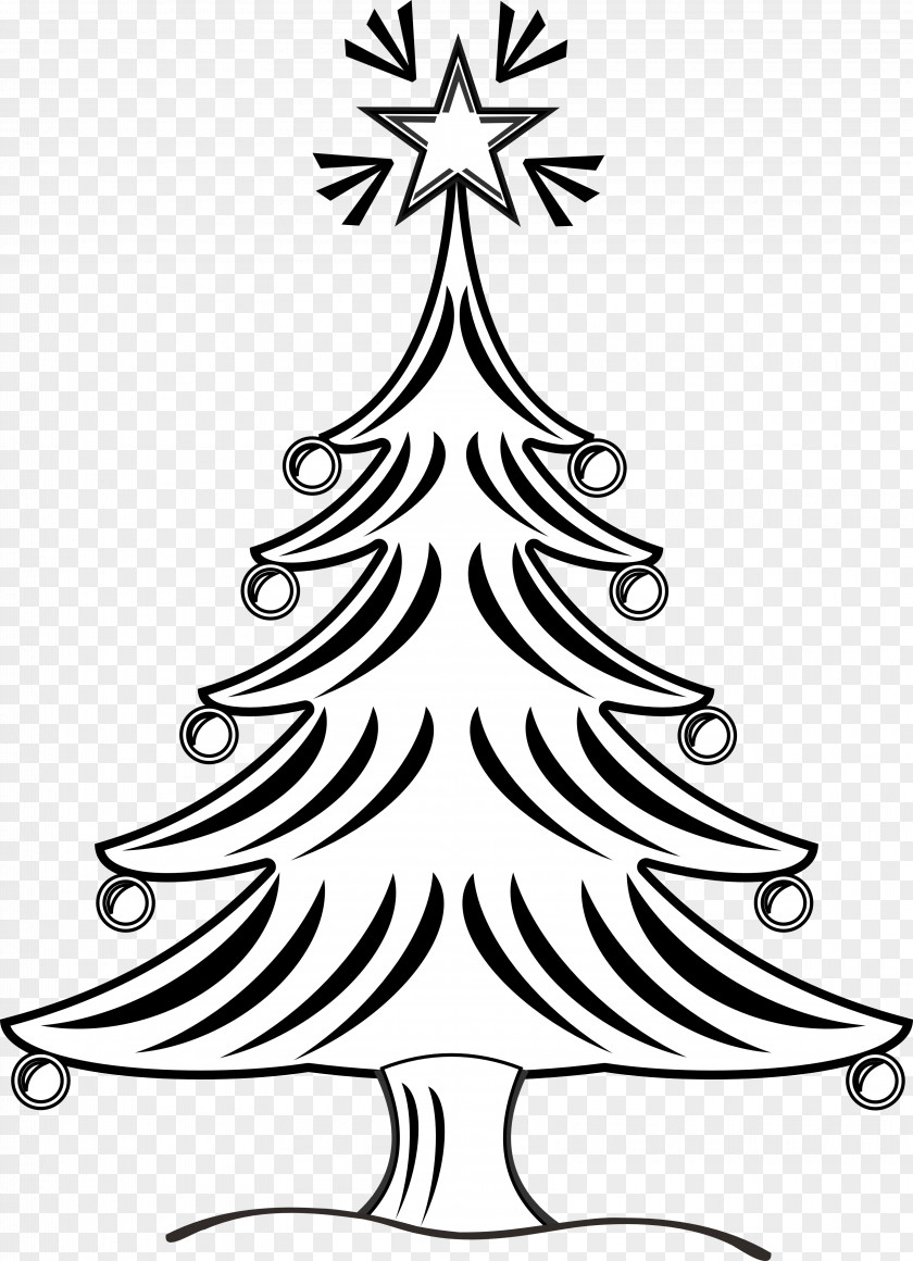 Christmas Tree Line Art Drawing Black And White Clip PNG