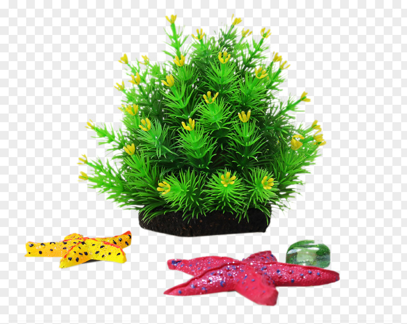 Simulation Rockery Stone Decorative Aquarium Plants Aquatic Plant Rock PNG