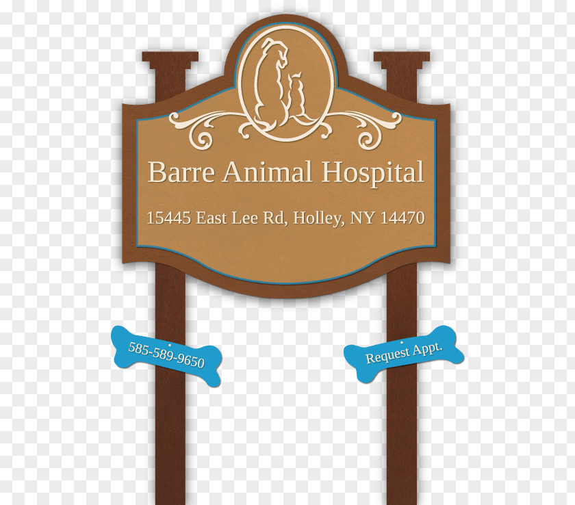 Veterinarian Clinique Vétérinaire East Orange Animal Hospital Barre Pet PNG