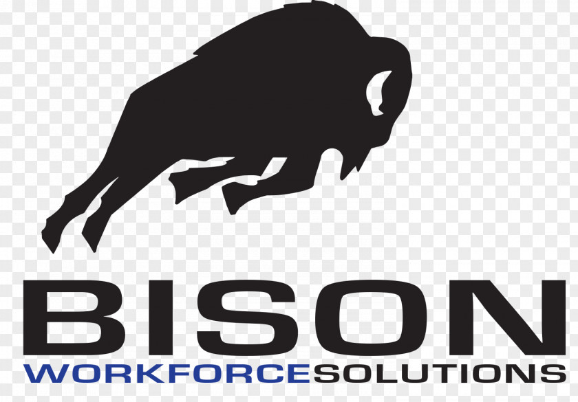 Bison Management Employment Company Service Professional Employer Organization PNG