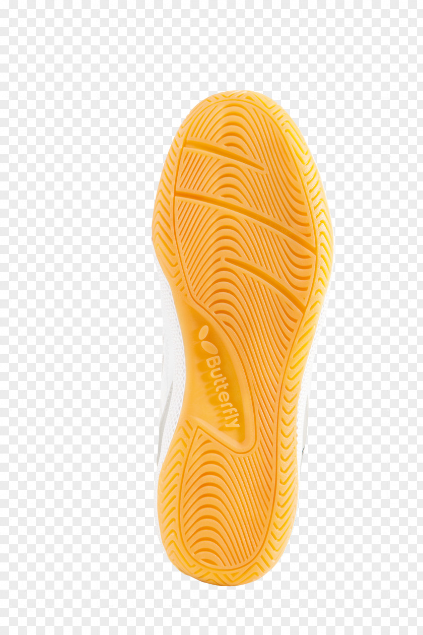 Design Walking Shoe PNG