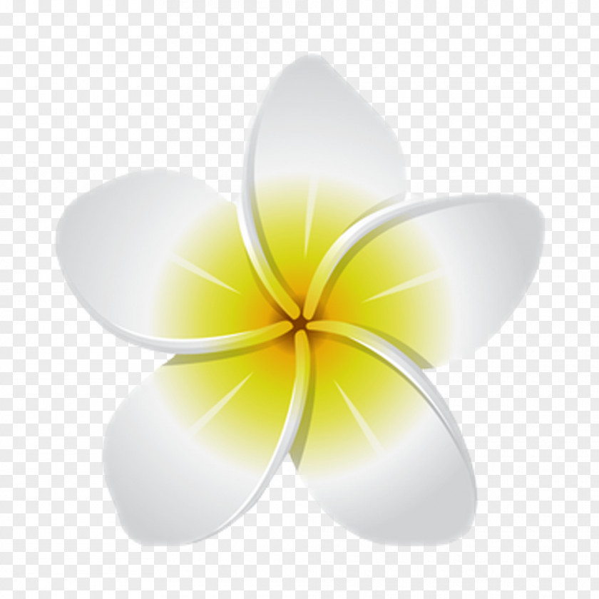 Image Flower Sticker Desktop Wallpaper PNG
