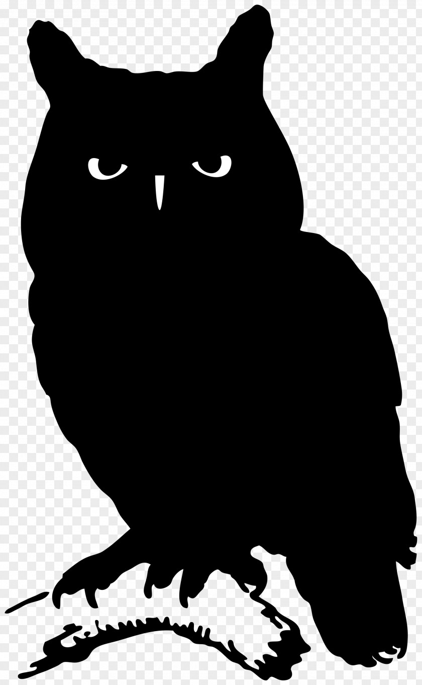Owl Whiskers Silhouette Bird PNG